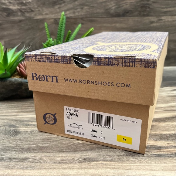 NIB Born Adana Studded T Strap Flat Thong Sandal - Picture 10 of 10